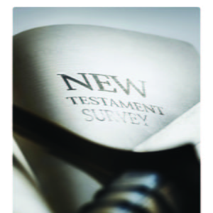 New Testament Survey